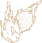 Premium Australian Wines